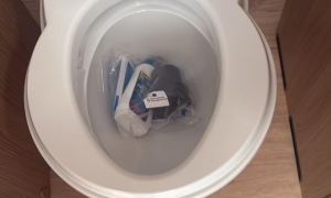 WhatsApp Image 2026-03-14 at 10.15.18